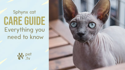 YouTube Thumbnail Generator for a Tutorial About Pet Care 3034n