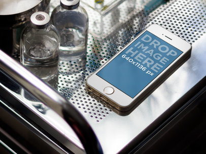 iPhone 5s Gold Portrait Doctor Cabinet