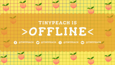 Twitch Offline Banner Template Featuring 8-bit Peach Graphics