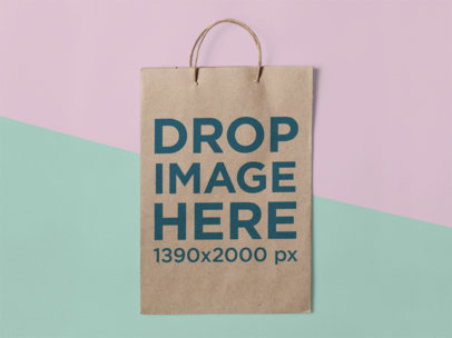 Frontal Mockup of a Paper Bag Standing Against a Two Colors Background a15304