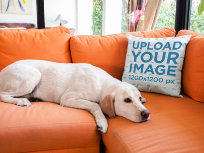 Pillow Mockup on an Orange Sofa Near a Labrador Dog