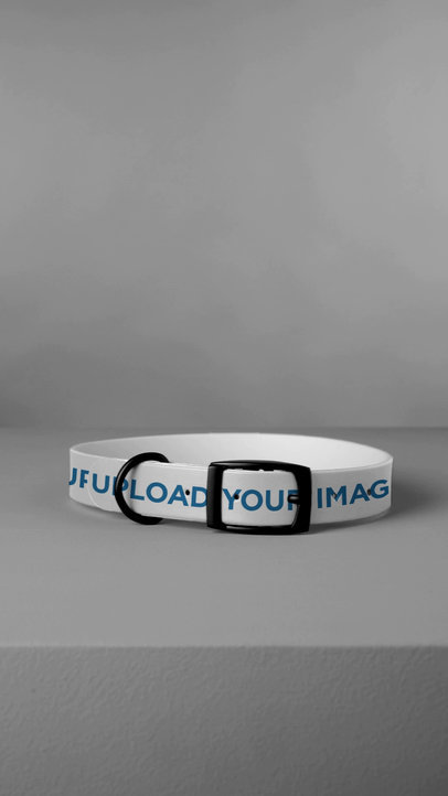 Video of a Pet Collar Placed on a Gray Surface