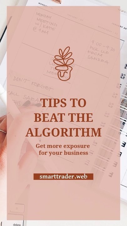 Business Instagram Story Video Generator Featuring Tips to Beat the Algorithm 4948