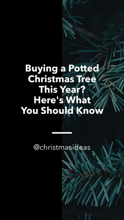 Instagram Story Video Maker Featuring Christmas Tree Ideas