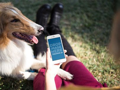iPhone Mockup Featuring a Woman Sitting Next to a Dog in the Park