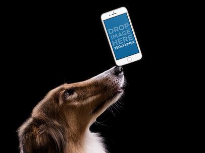 mockup-of-a-dog-holding-an-iphone-in-portrait-position- 12951