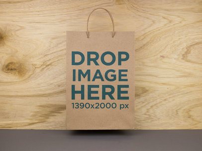 Paper Bag Template Standing Against a Wooden Wall  a14721