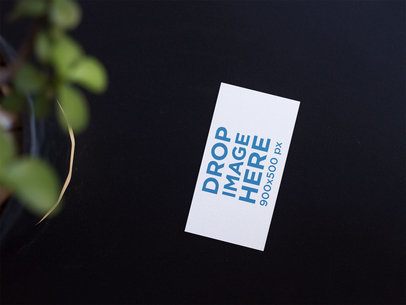Business Card Template Lying on a Black Surface Near a Plant a14996